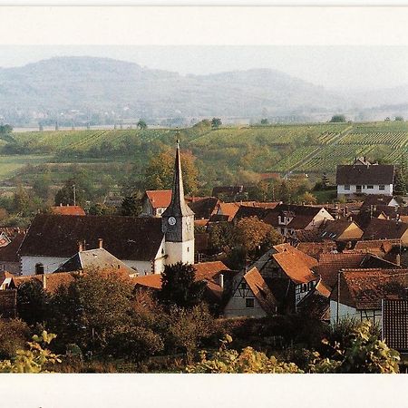 Вілла Les Hirondelles Wangen Екстер'єр фото